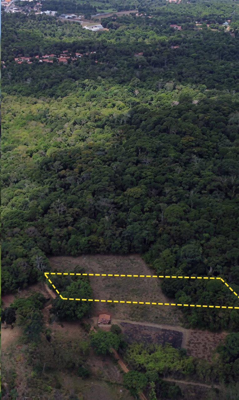 Terreno no Sítio Paus Altos dos Cunhas, Terreno e entorno